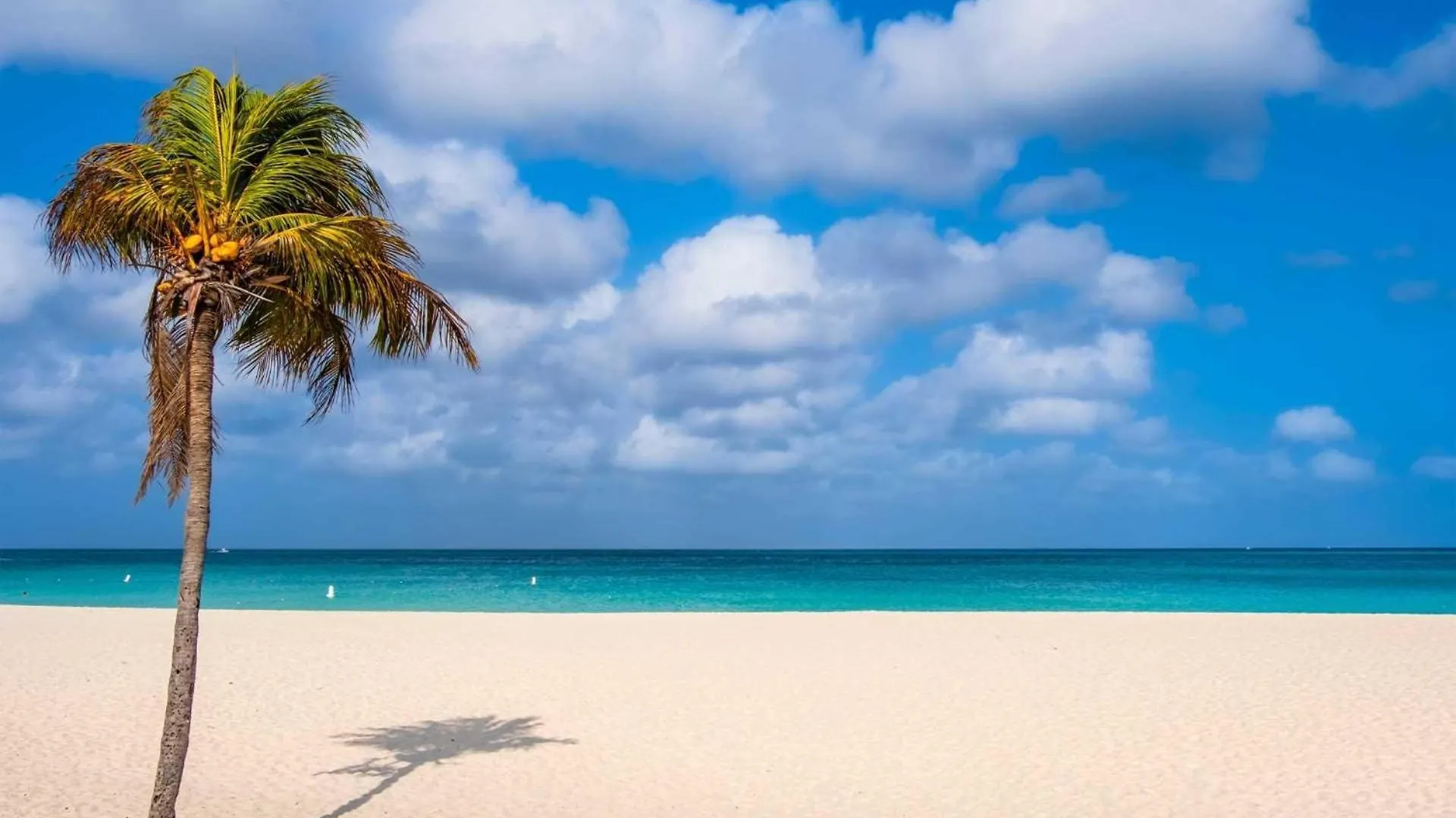 Beachfront - Ocean Extravaganza 3Br Condo - E121 شاطئ بالم 0*,