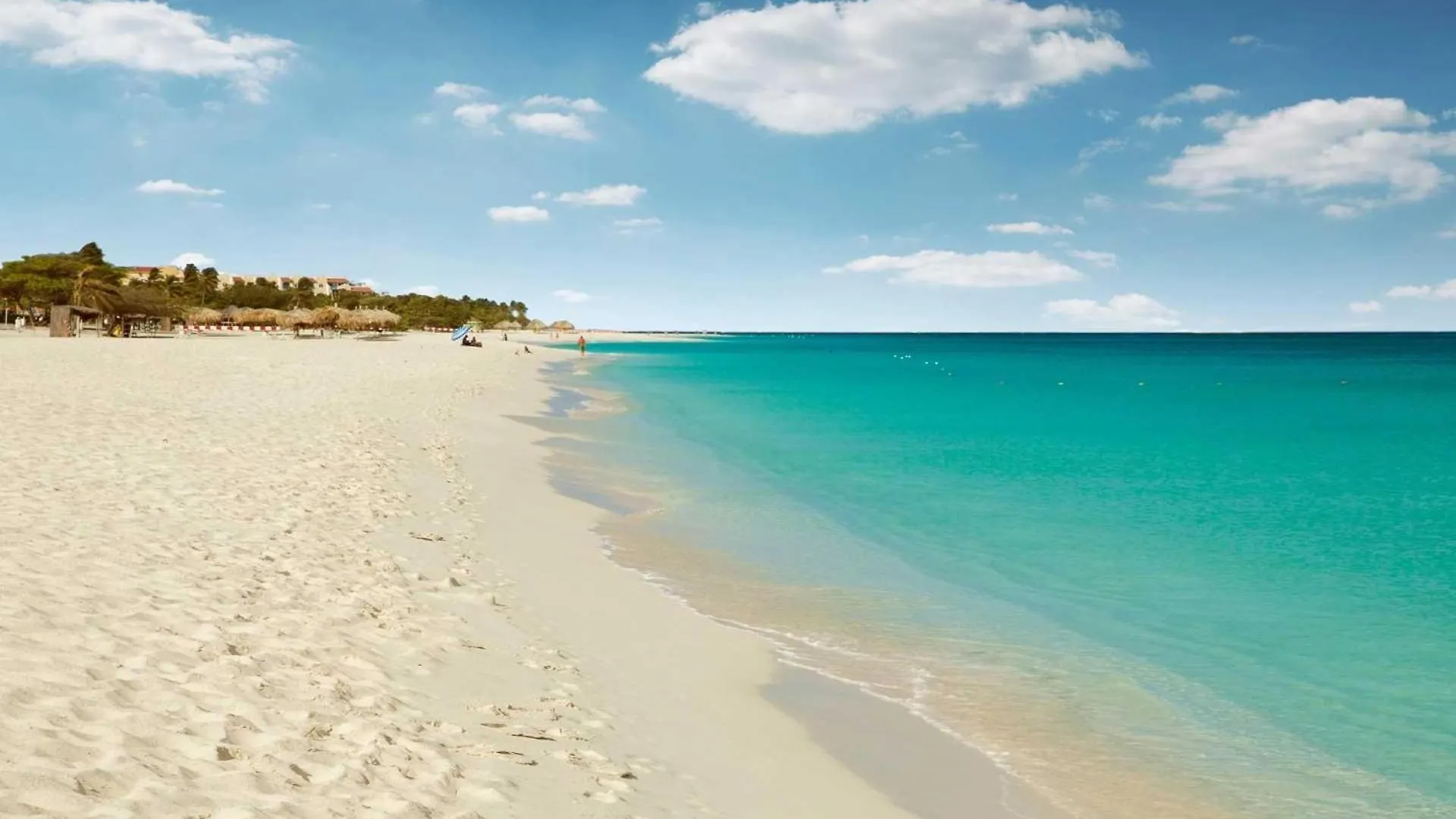Beachfront - Ocean Extravaganza 3Br Condo - E121 Палм Бич