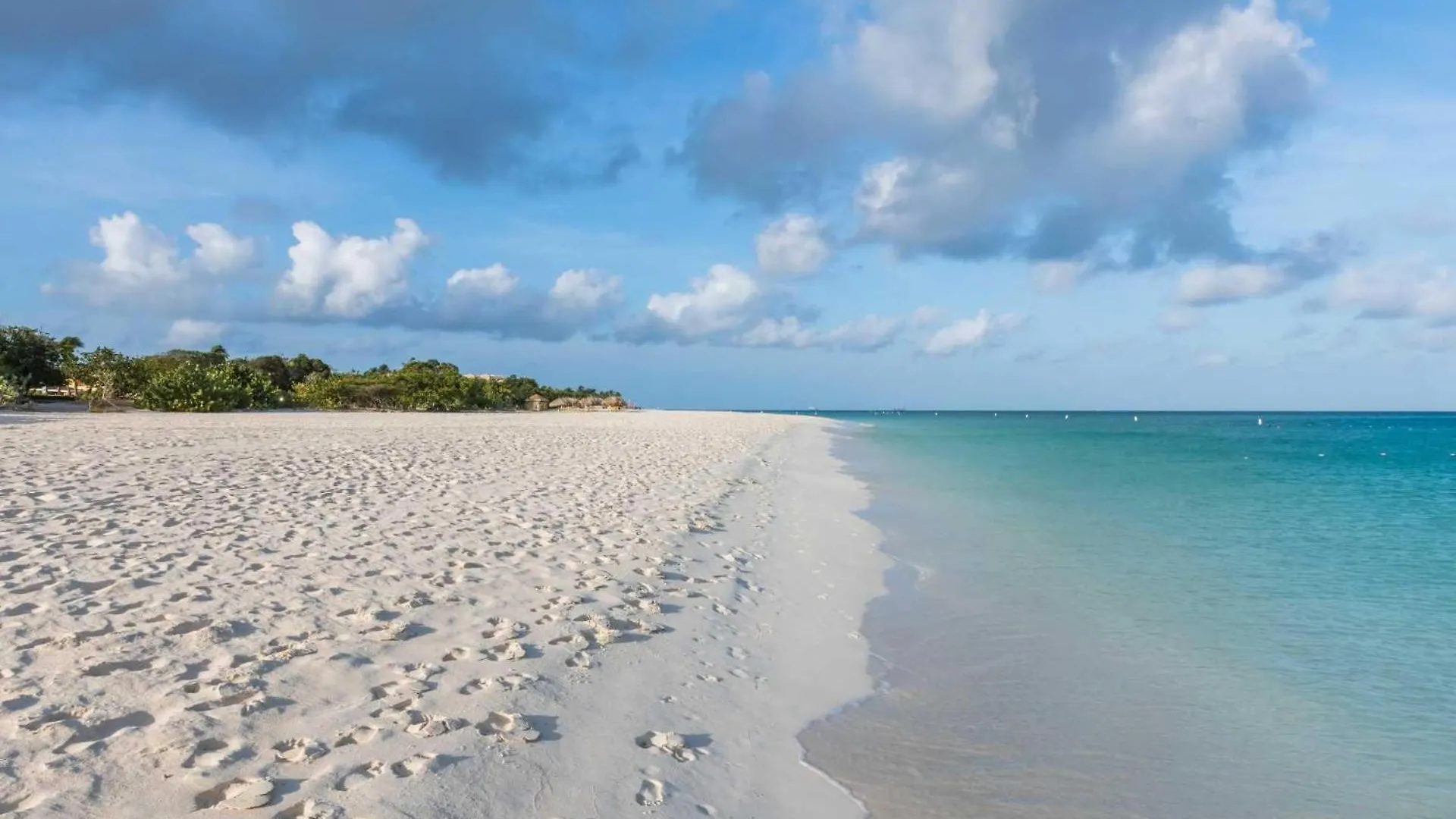 Beachfront - Ocean Extravaganza 3Br Condo - E121 Палм Бич